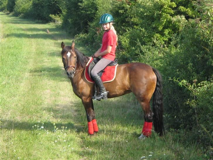 Anden særlig race Daisy RIP billede 11