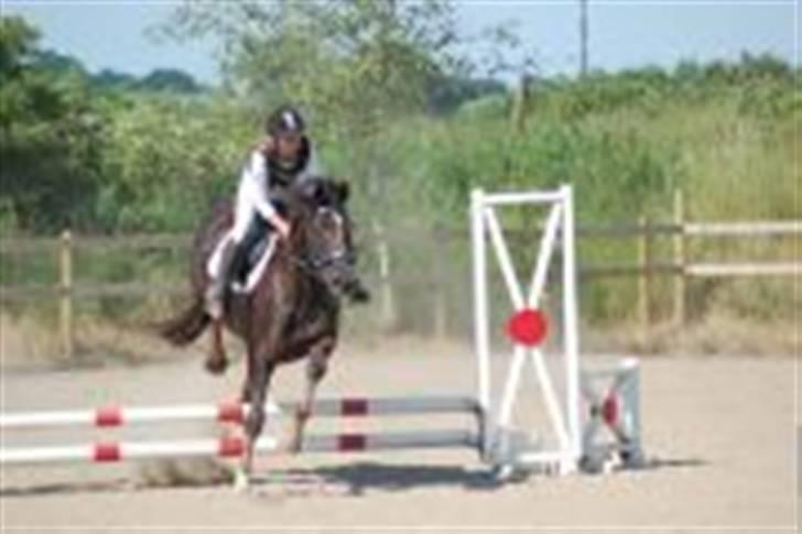 Fuldblod (XX) Jivã *DØD* - Svej (: ik så godt ramt af fotografen ?:b billede 12