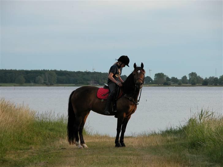 Anden særlig race Daisy RIP billede 14