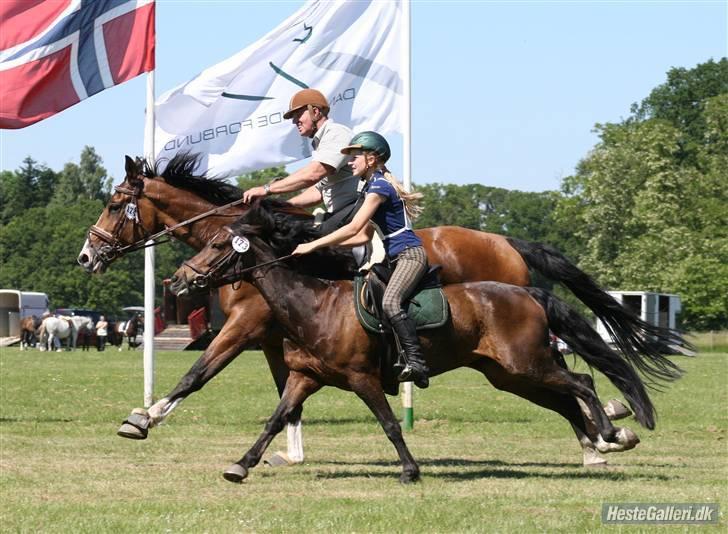 Anden særlig race Daisy RIP billede 16