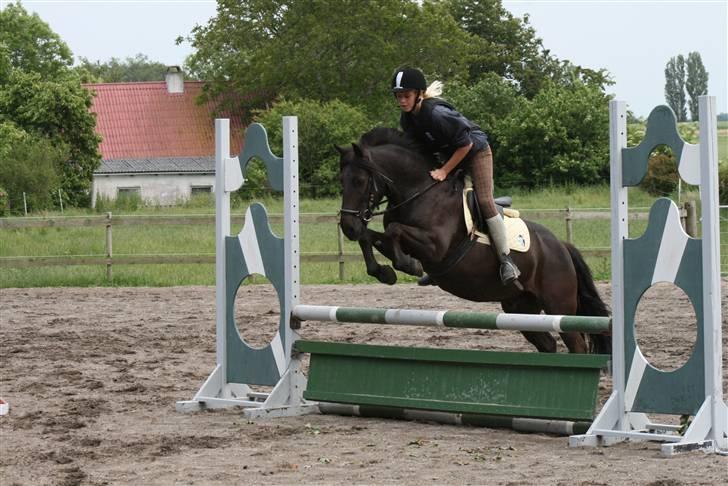 Anden særlig race Lego<3<3(tidl. part)<3<3 - Velkommen til Lego`s profil<3  billede 1