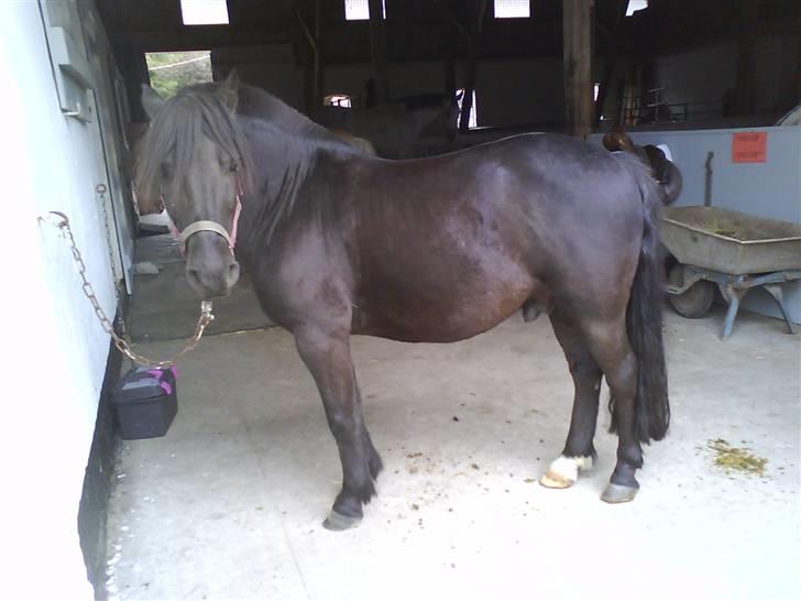 Anden særlig race Lego<3<3(tidl. part)<3<3 - SMUK OG DEJLIG bølle<3=) billede 2