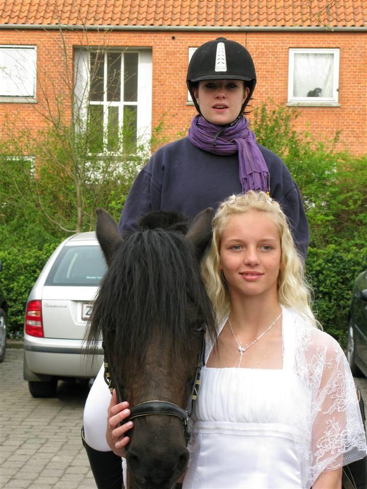 Anden særlig race Lego<3<3(tidl. part)<3<3 - Mig og lego til min konfirmation<3 billede 3