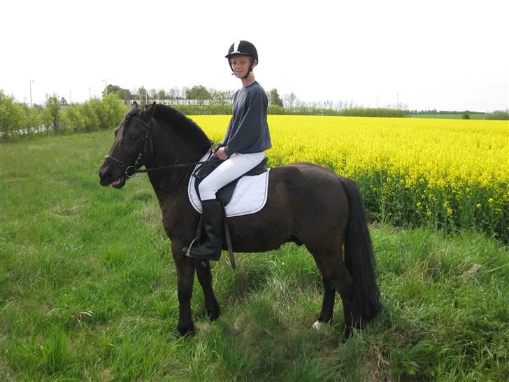 Anden særlig race Lego<3<3(tidl. part)<3<3 billede 4