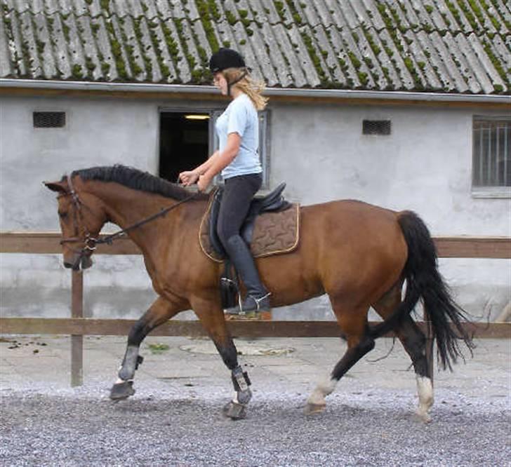 Anden særlig race Frederikke :-* - minpige. jeg elsker dig! | foto: pernille :D billede 2