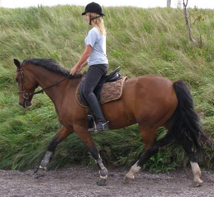 Anden særlig race Frederikke :-* - minpige. jeg elsker dig! | foto: pernille :D billede 3