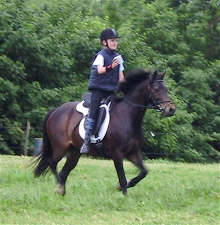 Anden særlig race Jolly RIP <3 - Fra mit første mounted games stævne (ca. 3 år siden) billede 3