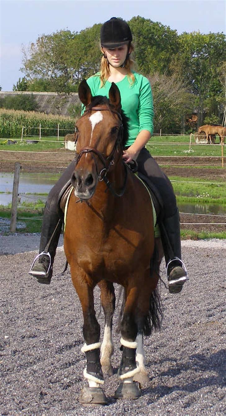 Anden særlig race Frederikke :-* - minpige. jeg elsker dig! | foto: pernille :D billede 6