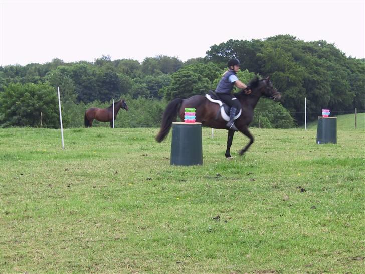 Anden særlig race Jolly RIP <3 - Fra mit første mounted games stævne (ca. 3 år siden) billede 6