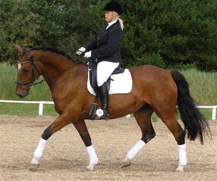 Anden særlig race Frederikke :-* - minpige. jeg elsker dig! | foto: pernille :D billede 8