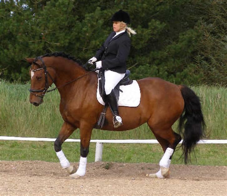 Anden særlig race Frederikke :-* - minpige. jeg elsker dig! | foto: pernille :D billede 9