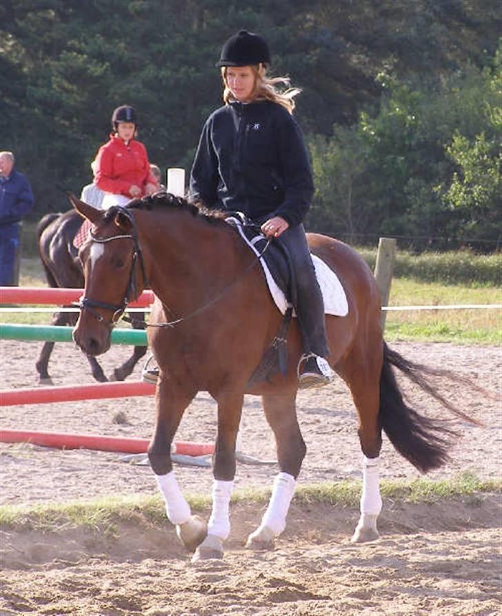 Anden særlig race Frederikke :-* - minpige. jeg elsker dig! | foto: pernille :D billede 10
