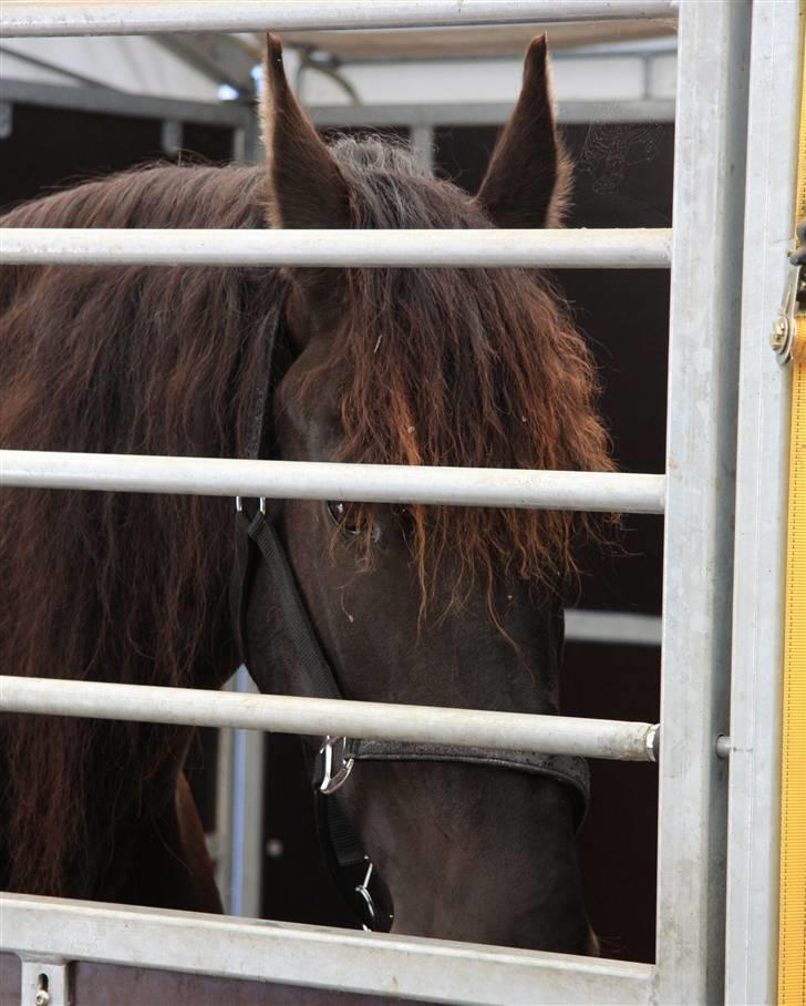 Frieser Hambrugs Othello - <3 billede 17