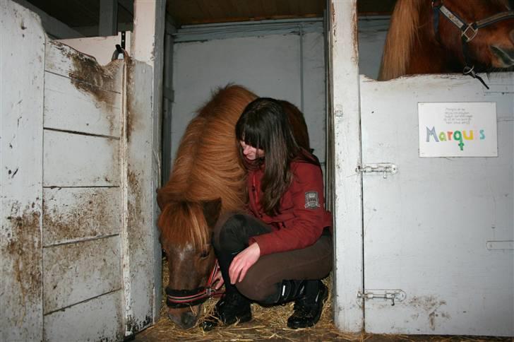 Shetlænder Masja - Masja og jeg <´3 billede 12