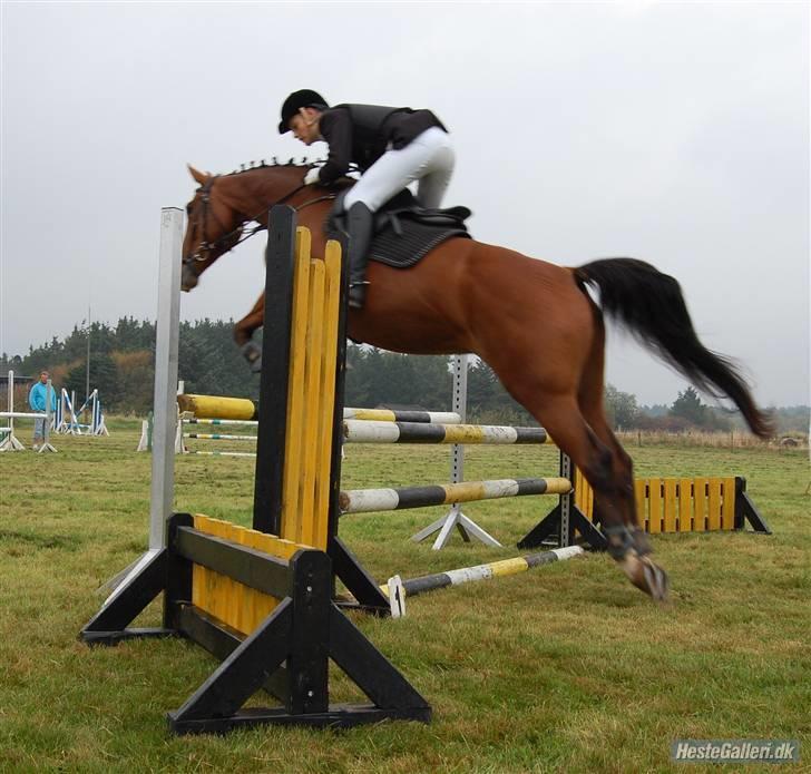 Anden særlig race Lyngholms dixie 'UDLÅNT' - mig & dixie til stævne i JMR. #´foto:annika. billede 2