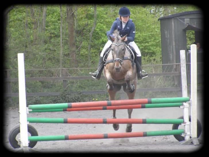 Knabstrupper Dusty Dot -  . Vores første stævne sammen.  billede 10