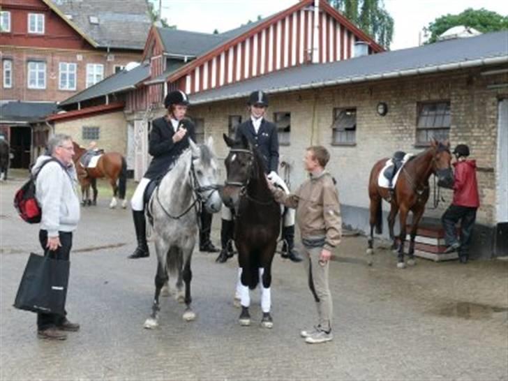 New Forest Gay Count Alexander - med junkie billede 12