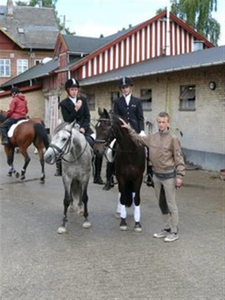 New Forest Gay Count Alexander billede 13
