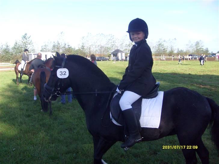 DSP sherrydan solgt :( - det første stævne med dig billede 12