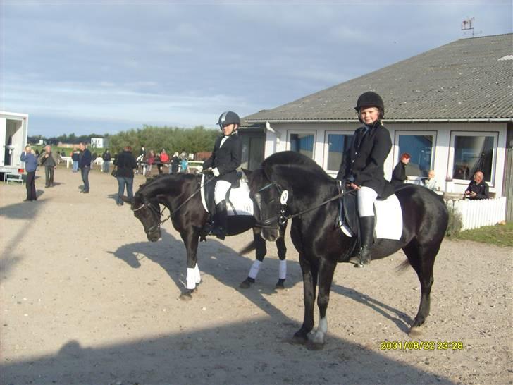 DSP sherrydan solgt :( - her er ronja og matilde til nibecop. billede 13