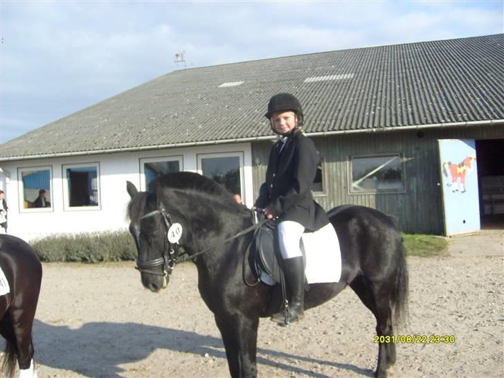 DSP sherrydan solgt :( - stævne i nibe cop. billede 14