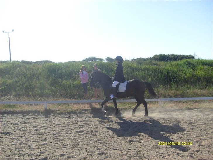 DSP sherrydan solgt :( - stævne i sæby. billede 15