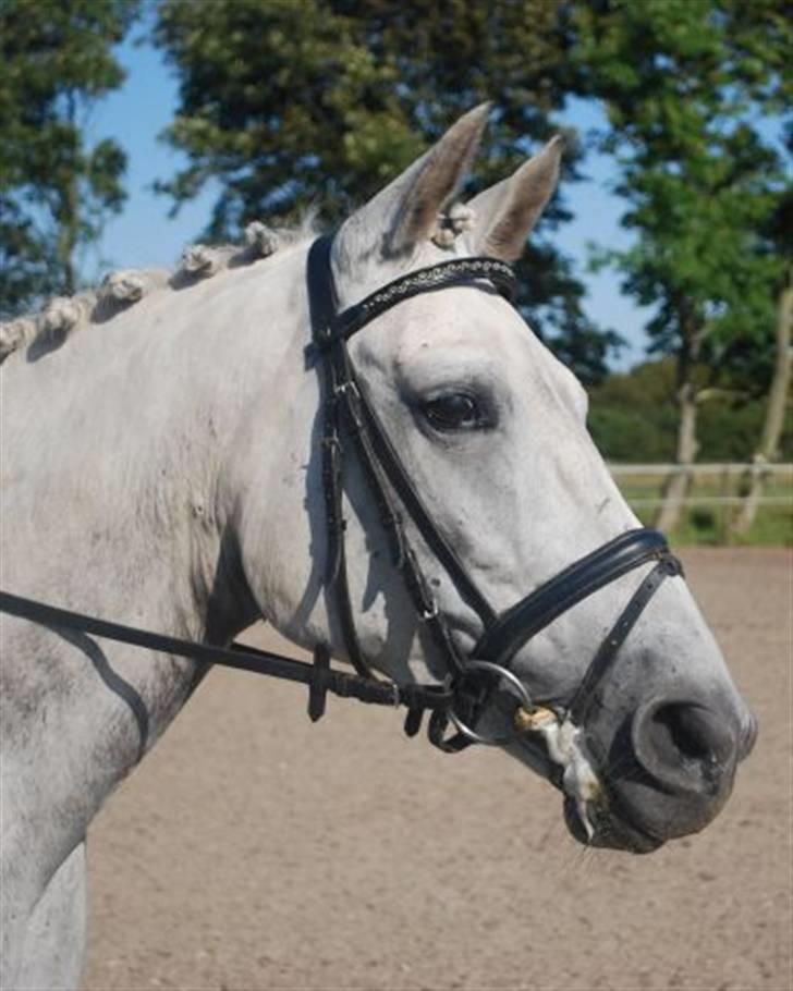 Anden særlig race Miss behaven<3 - Miss Behaven         billede 1