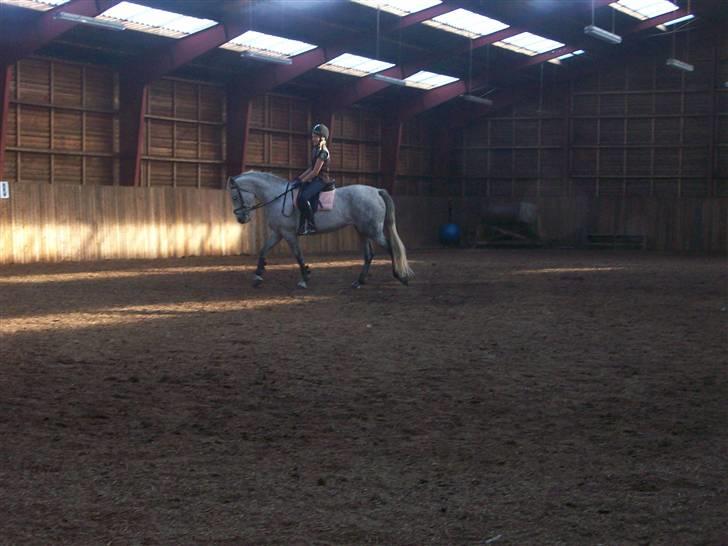 Anden særlig race Miss behaven<3 - Dagen jeg var ude og se på Misse. billede 2