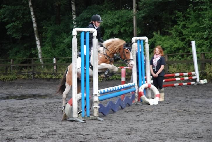 Anden særlig race Pinocchio *SOLGT /':* - wee... så springer vi <3 fotograf: min onkel billede 6