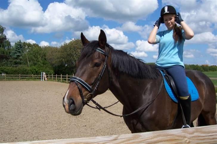 Fuldblod (XX) Erling - Erling min Særling C: <3 billede 1