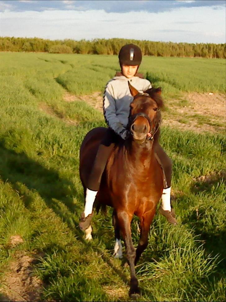 New Forest Gaardens Sunshine<3 - 13) Er ude og ride sammen med Olivia og Lukas " Olivia er fotografen til hest ;) " billede 13