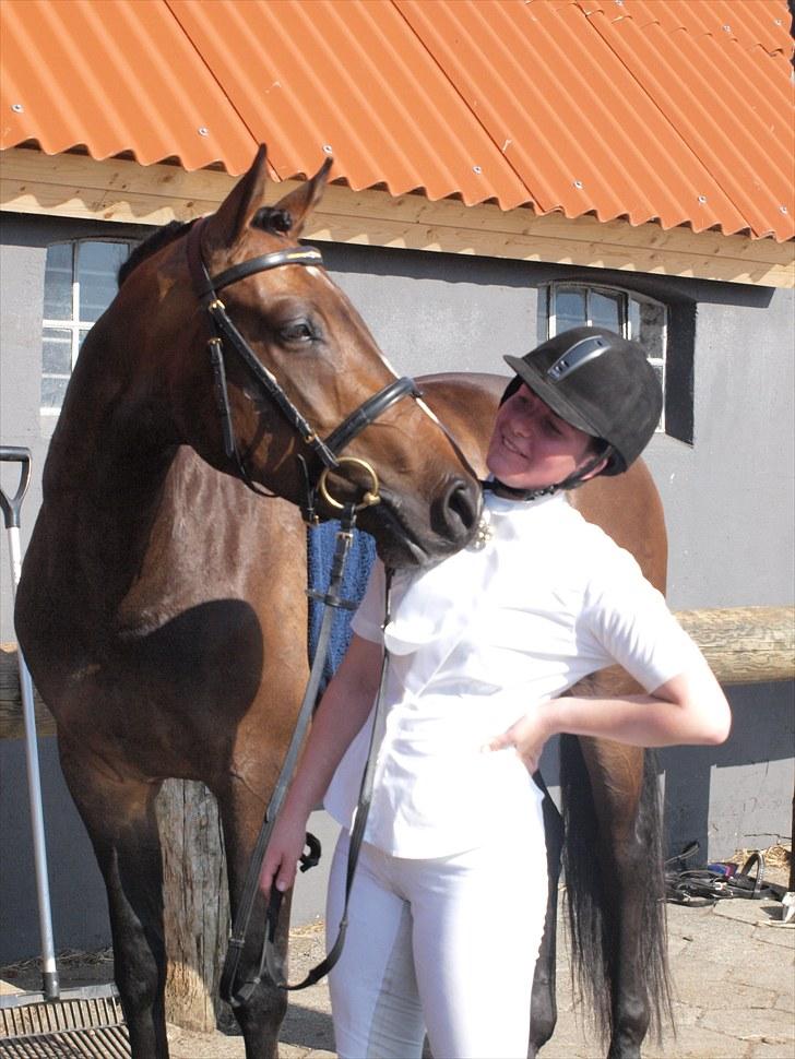Dansk Varmblod Chiki - Min egen SUPERSTAR <3 billede 12