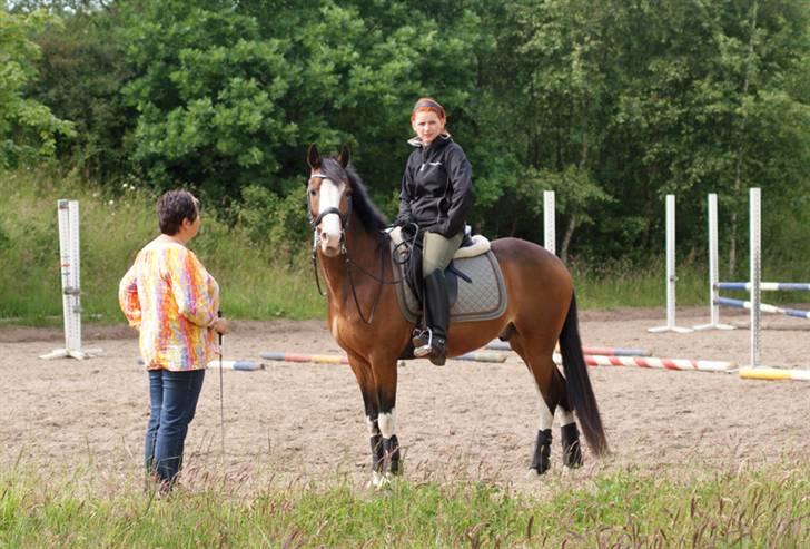 Anden særlig race Sharon - 18. juni 2009 - Ude på Viborg rideskole hvor vi øvede til stævne :O) billede 14