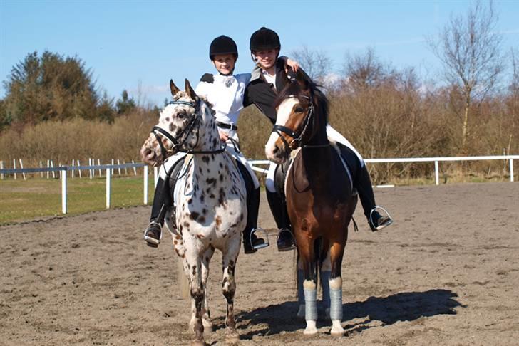 Anden særlig race Sharon - 9. april 2009 - Katrine og Sharon & Las Vegas og jeg ved stævnet i Lem :O) billede 17