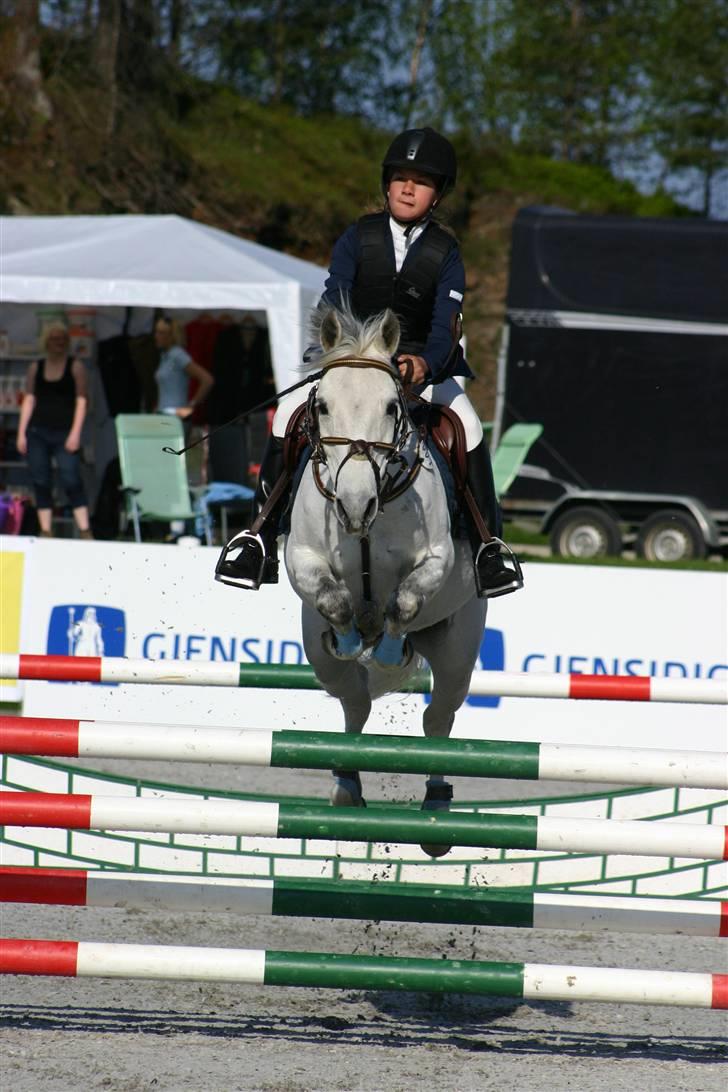 Anden særlig race Irish Pleasure (Solgt) - Baltic cup i Norge... han vandt... billede 1