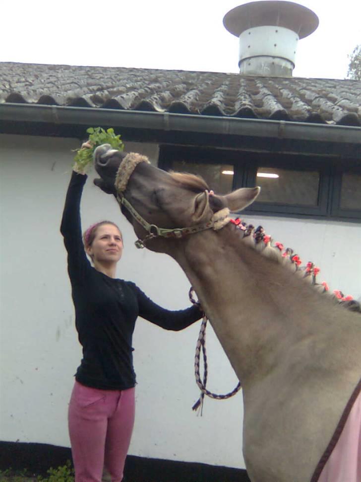 Anden særlig race  Den SmukkesteTanja <'33 - Hun er verdens bedste pony!! billede 4