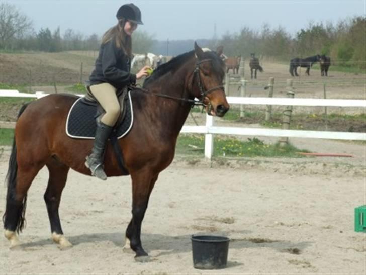 Hannoveraner Fakir gl. part :'( - Fakir og Sofie billede 11