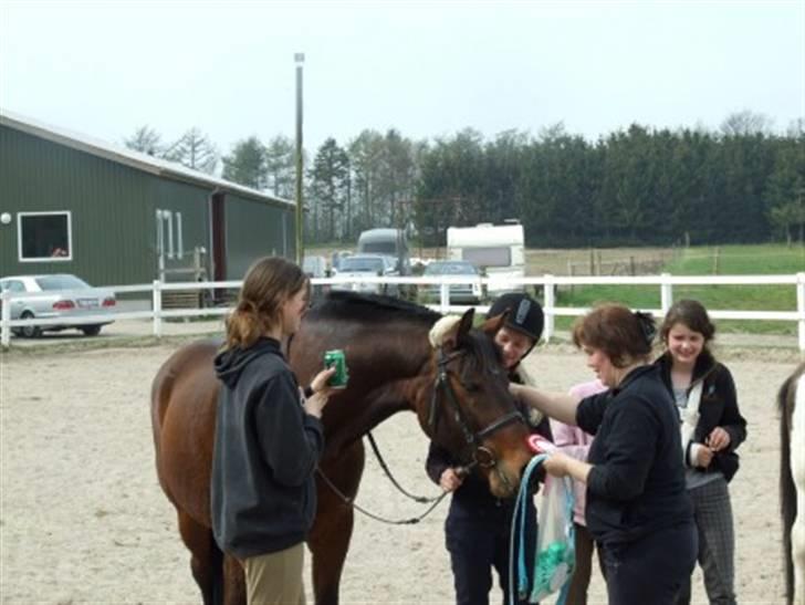 Hannoveraner Fakir gl. part :'( - 2 plads på Fakir billede 12