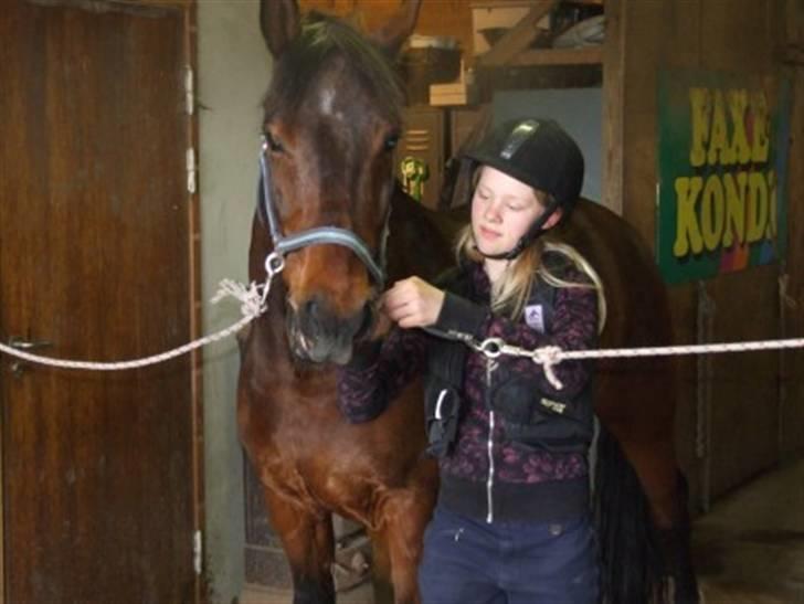 Hannoveraner Fakir gl. part :'( - Hygge<3 billede 14