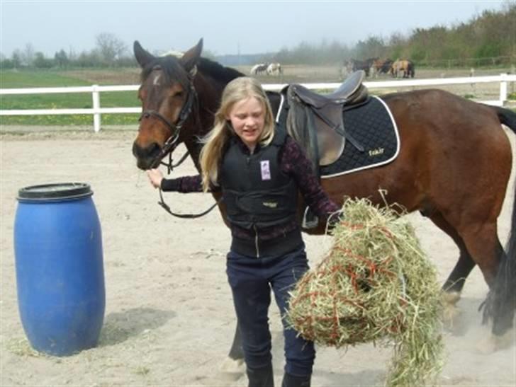 Hannoveraner Fakir gl. part :'( - løøøb ;) billede 16