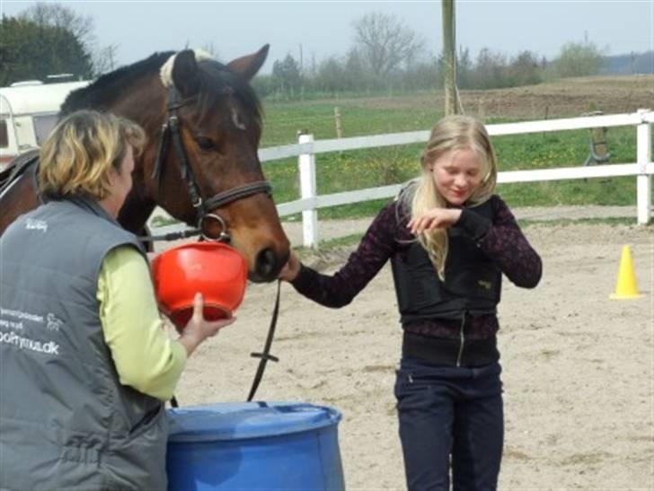 Hannoveraner Fakir gl. part :'( - jeg er vååd xD billede 17