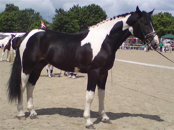 {{currentPhoto.altText}} billede {{currentPhoto.number}}