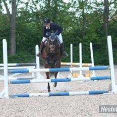 Anden særlig race Lady