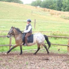 Appaloosa Inschalah