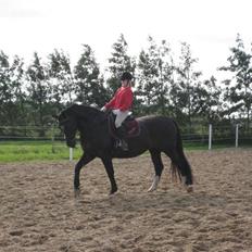 Oldenborg Eloise (solgt)