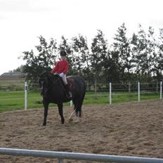 Oldenborg Eloise (solgt)