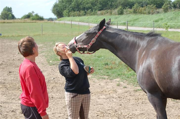 Anden særlig race Mandalay R.i.p miss you - det sidste kys.. glemmer dig aldrig nogensinde <3 billede 19