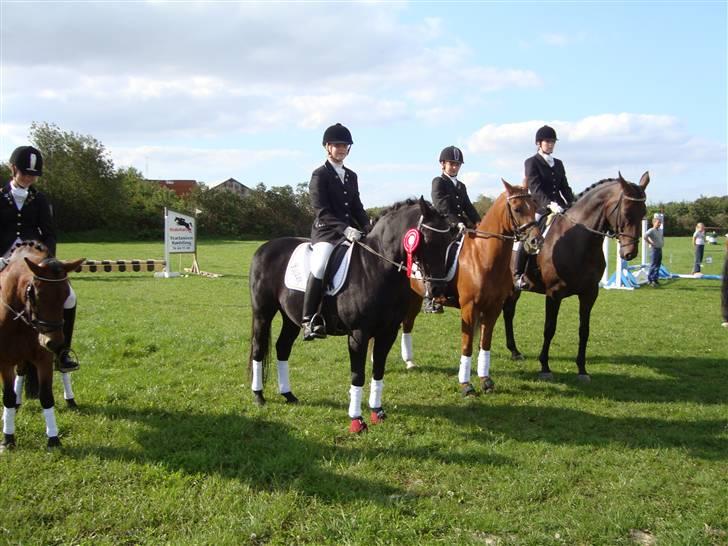 New Forest Vesterhedegård's Arak - Vinder af ottersbøl cup  2008 ,  billede 12