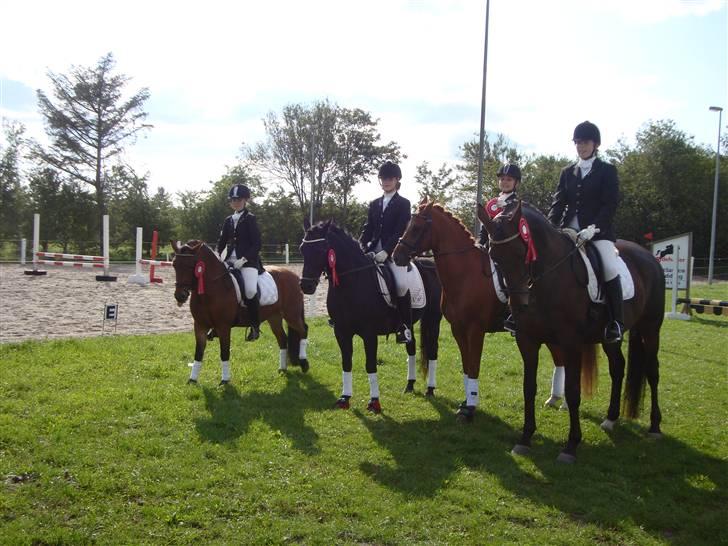 New Forest Vesterhedegård's Arak - Vinder holdet af ottersbøl cup 2008   billede 16