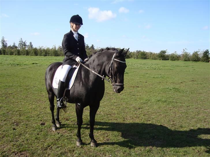 New Forest Vesterhedegård's Arak - Vi ses . billede 18